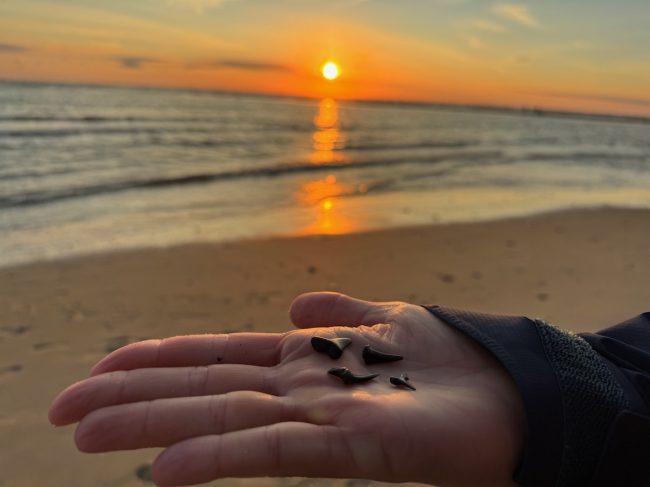 Haifischzähne suchen und danach mit der Massage-Gun massieren