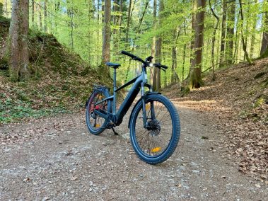 Aventon Trava ADV auf Waldlichtung Bayern – Trekking-E-Bike Natur