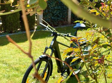 Aventon Trava ADV im Grünen Bayern – Trekking-E-Bike Natur Ausflug
